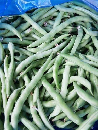 Green Bean (500g)