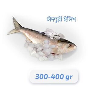 Hilsha fish (3Pcs 1kg)