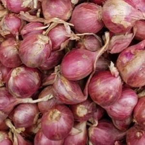 Thailand Onion (500g)