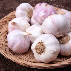 Garlic (450g)
