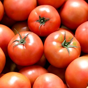 Tomato (1 kg)